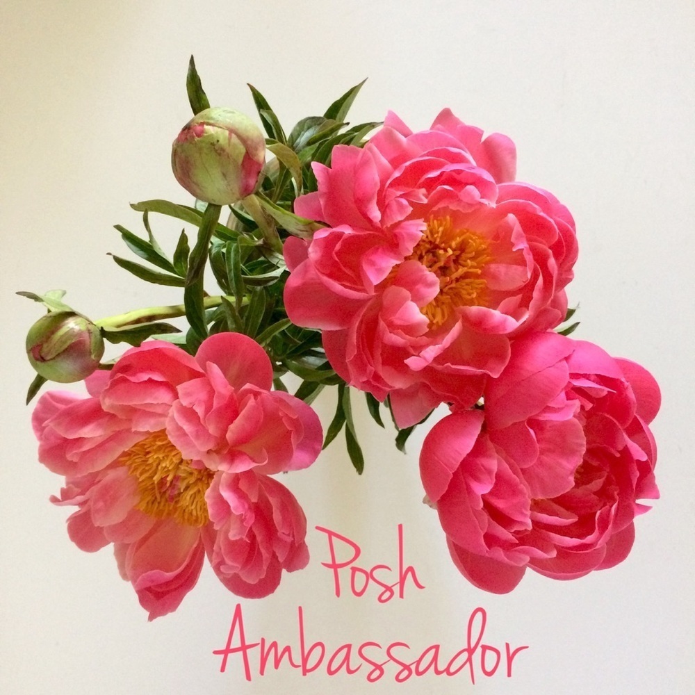 I'm a Posh Ambassador